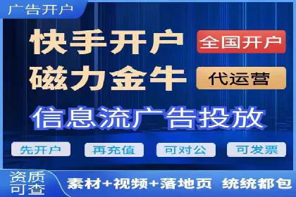 百度竞价排名策略解析：一家公司的广告投放策略全揭秘